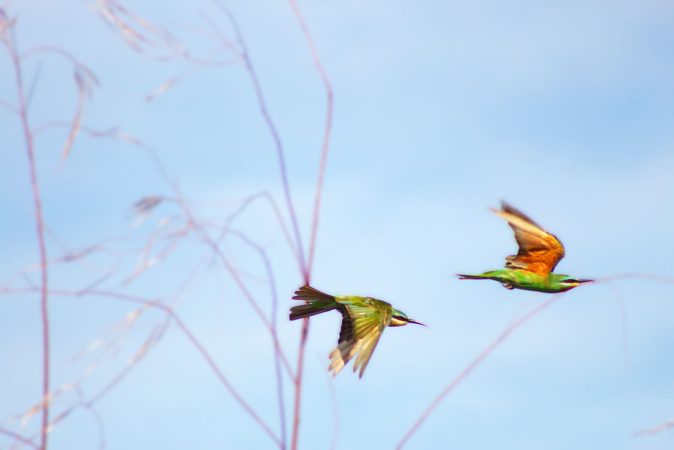 749168301-img_3998